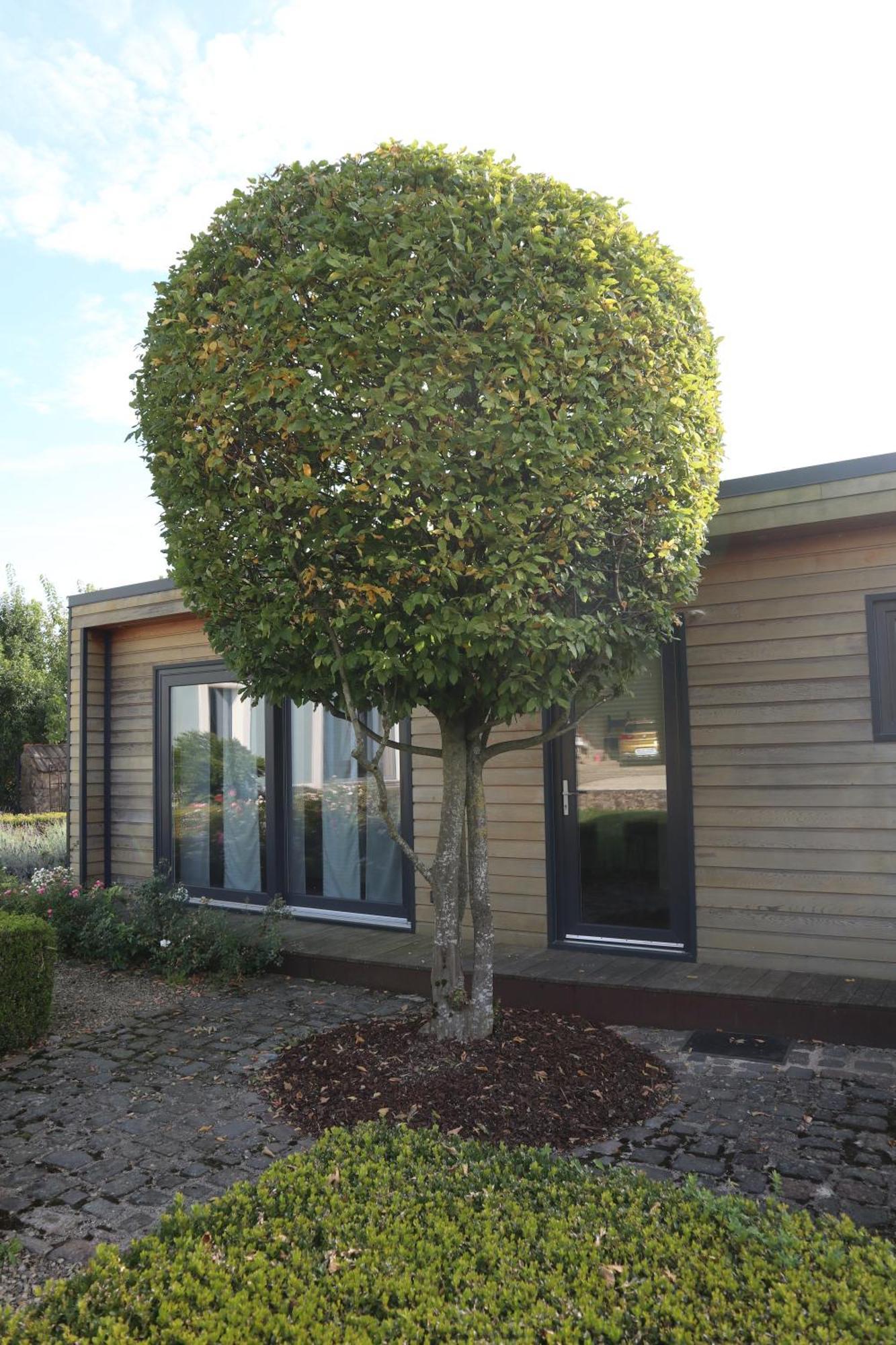 Tinyhouse Apartment Perl Luaran gambar